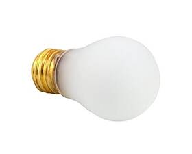 Apw Wyott Apw1505800 1505800 Bulb Light 40 W Appl