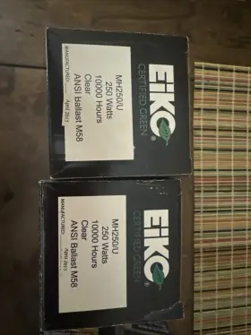 Mh250 Eiko 031293491954 Lot Of 2 Mh250/u Projector Lamp Bulb 250 Watts 10000 Hours Clear Ansi