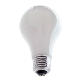 Ushio 048777183304 1001269 Ph213 250w 115v A21 E26 Frosted Incandescent Lamp