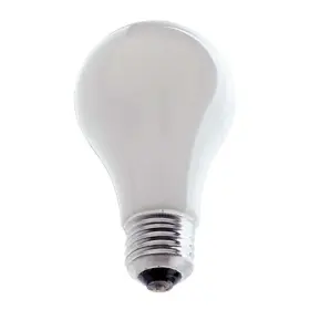 1001269 Ushio 048777183304 Ph213 250w 115v A21 E26 Frosted Incandescent Lamp