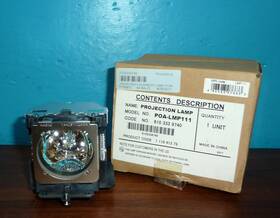 Ushio Poa-lmp111 Projection Lamp Sanyo Eiki New
