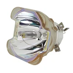Ushio E21.9 Ac Bare Projector Lamp NSHA400W - 240 Day Warranty New. Price: $199.99.