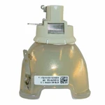 Projector Lamp Bulb For Philips 400/320W 1.3 400W E21.9 Barco R9801276 RLMW1 New. Price: $213.49.