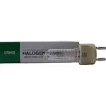 Ushio 1000282 Egr JS120V-750WC G22 Halogen Lamp New. Price: $19.49.