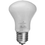 Elinchrom 100W Modeling Lamp New. Price: $29.63.