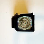 Samsung BP96-01653A Replacement Lamp With Housing 6,000 Hour Life New Open Box. Price: $44.95.