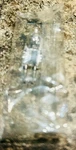 Ushio Jc 24V20W G4 Halogen Light Bulb Made In Japan Volt Watt Base New. Price: $16.99.