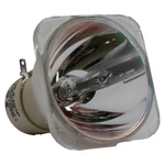 Al Series Lamp (bulb Only) For The Dell 1510X Projector - 90 Day Warranty New. Price: $39.99.