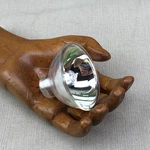 Osram 64615 Vintage Replacement 12V 75W Optical Endoscope Halogen Dental Light Open. Price: $14.99.